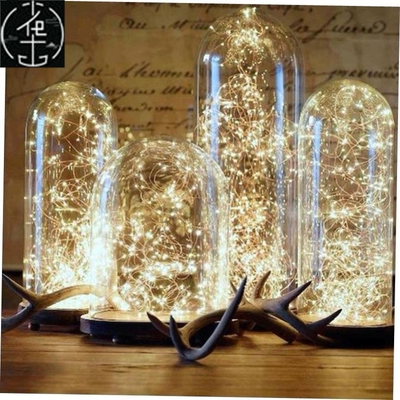 1M 2M 3M 5M 10M Copper Wire LED String Lights Christma圣诞灯