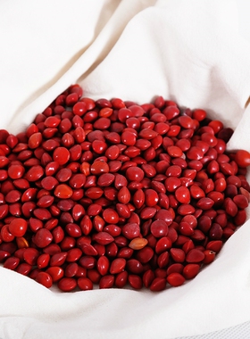 相思豆种子红豆散珠打孔安红豆血菩提子原籽手链手串饰品