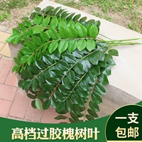 Симуляция саранча дерево поддельные листья декоративная форма ощущается перекрывающимися пластиковые зеленые листья кленового кленового растения, листья вяза