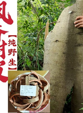 枫树皮中药材枫香树皮正品新货野生枫香皮枫香树根皮包邮