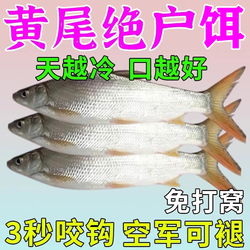 全能钓鱼饵料黄尾鱼专攻