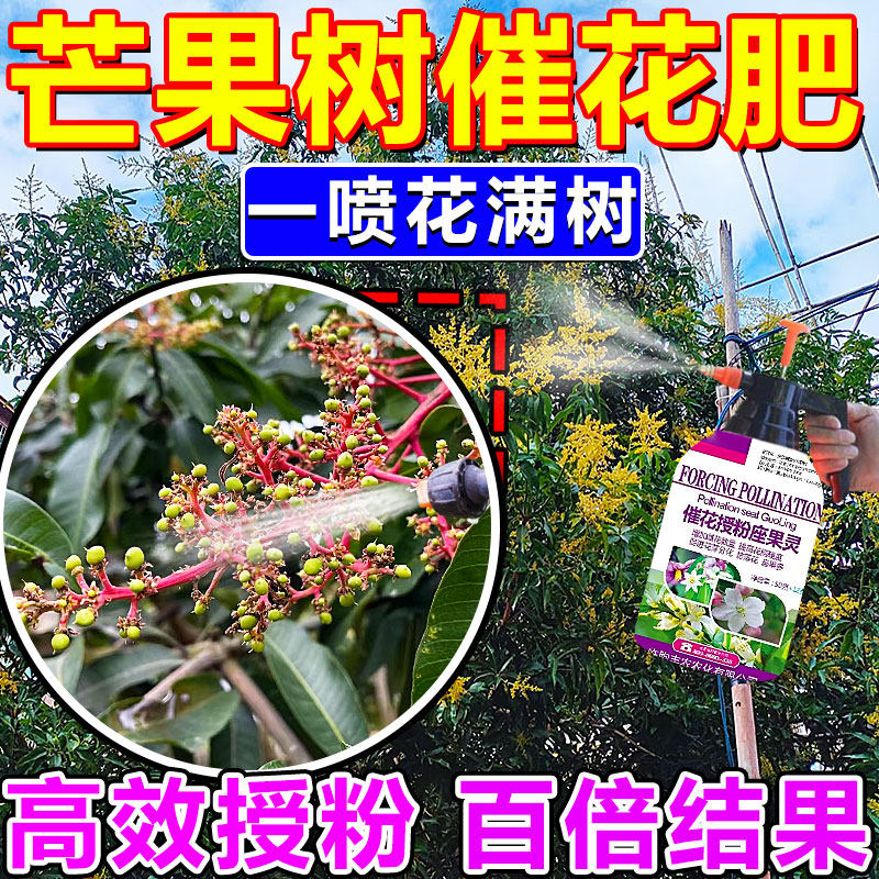 芒果催花药保花保果防落促花座果灵果树生根壮苗流体硼叶面水溶肥