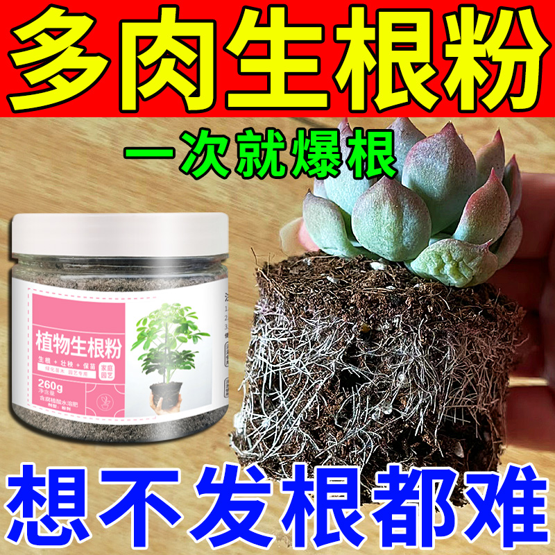 【一次疯长】多肉生根爆根专用粉