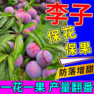 李子保花保果药果树防落果裂专用流体硼叶面肥坐果灵促催花膨大素