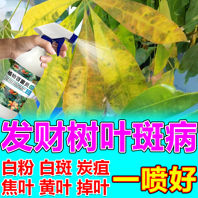 家庭绿植病害杀菌剂排行榜N0.1