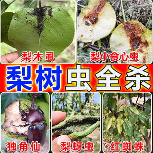 梨木虱专用药梨树杀虫特效肥灭食心虫果树除虫防虫保花保果营养液