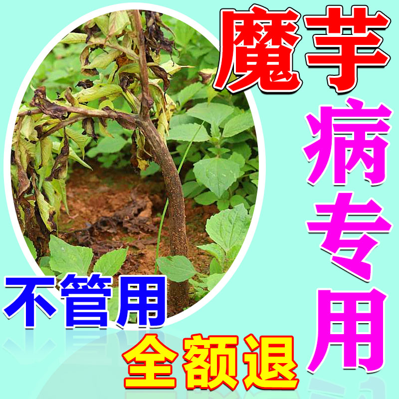 魔芋专用药软腐病药根腐快克叶枯病白绢病炭疽病杀菌剂缺素膨大剂