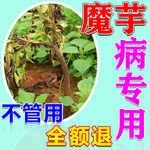 魔芋专用药软腐病药根腐快克叶枯病白绢病炭疽病杀菌剂缺素膨大剂
