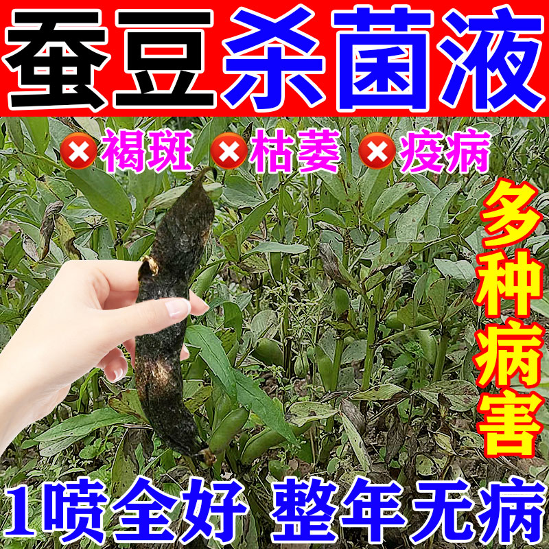 蚕豆专用药植物锈病白粉叶斑病毒病套餐一滴净农用杀虫杀菌剂正品