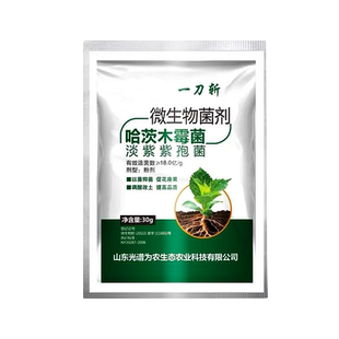 马蹄专用药白粉茎基腐灰霉枯萎红尾土传病菌清农用细菌性杀菌肥剂