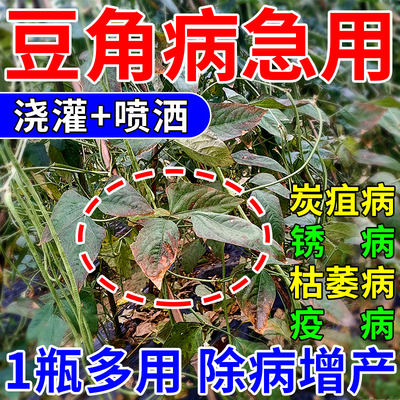 豆角病专用药杀菌除病常备