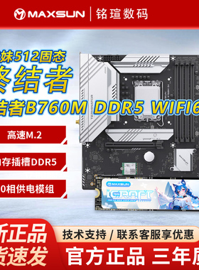 终结者B760M DDR5 WIFI6E 主板搭瑷珈妹妹512Gm.2固态硬盘