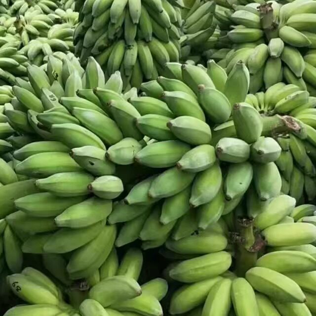 云南西贡蕉芭蕉当季新鲜水果