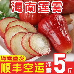 海南特产黑金刚莲雾三亚雾莲特大果当季新鲜水果莲雾顺丰礼盒5斤