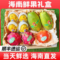 海南特产水果礼盒新鲜当季芒果释迦果椰子火龙果三亚礼品拼箱顺丰