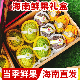 海南水果礼盒三亚特产新鲜热带鲜果拼箱春节过年礼品公司福利顺丰