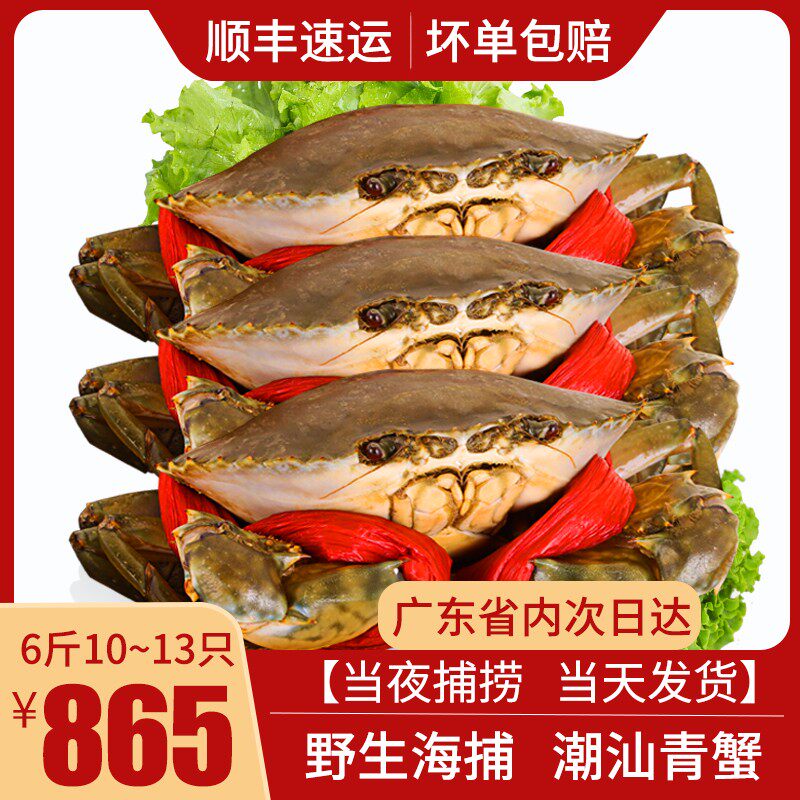 潮汕野生青蟹鲜活红膏肉蟹膏母蟹特大超大黄油蟹螃蟹广东6斤装