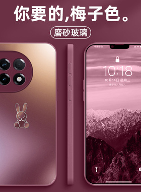 适用一加Ace2手机壳新款ace3pro保护套12磨砂玻璃ace2pro兔年限定壳11高级感男女一加13全包镜头防摔创意