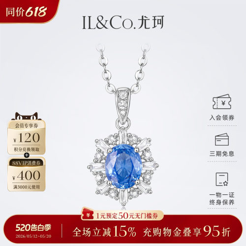 精致太阳花，魅力开放