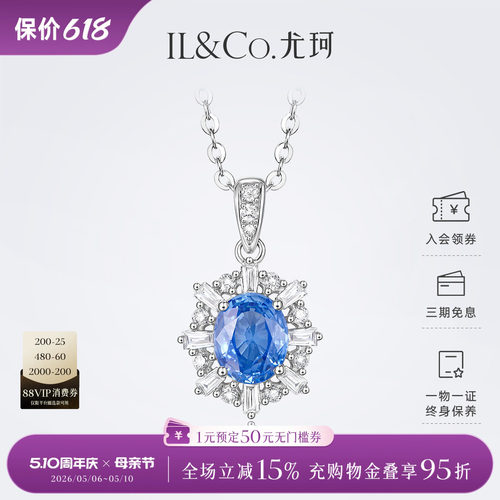 精致太阳花，魅力开放