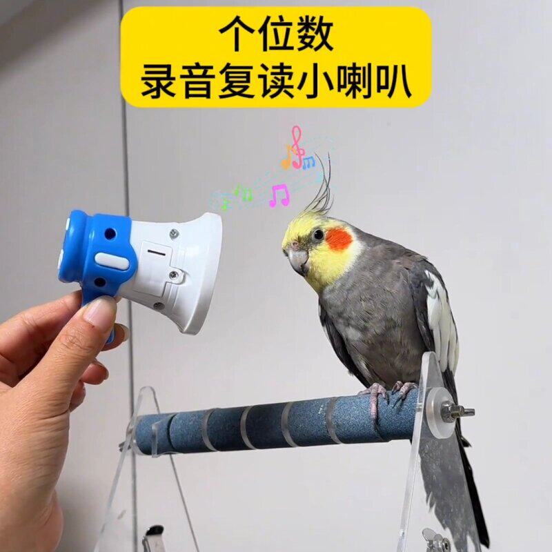 鹦鹉学说话器小型虎皮鹦鹉训练复读录音机玄凤吹口哨鸟玩具新款