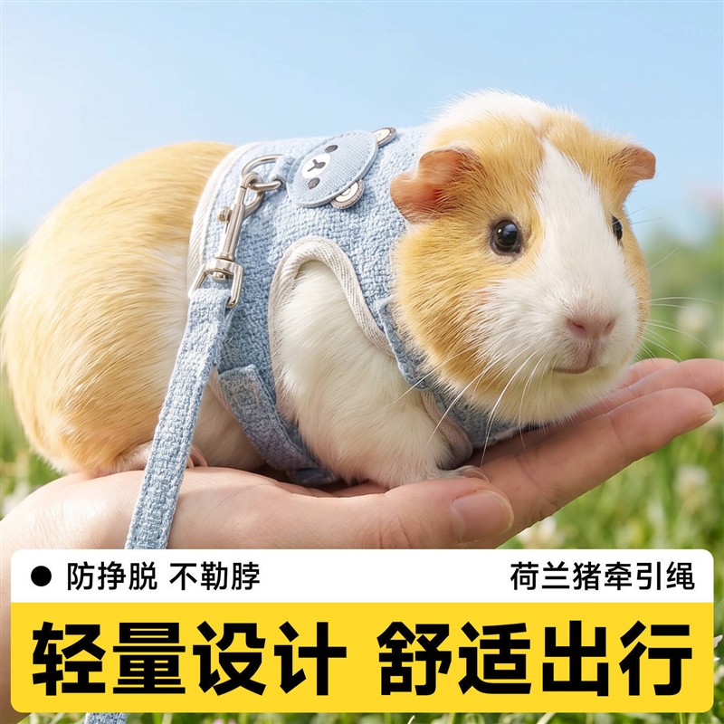 荷兰猪牵引绳侏儒兔防挣脱可调节豚鼠仓鼠外出专用背心式溜兔绳