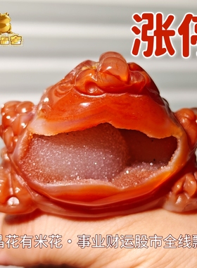 灵蟾晶舍｜涨停｜天然玛瑙水晶金蝉摆件牛股启动招财摆件装饰116