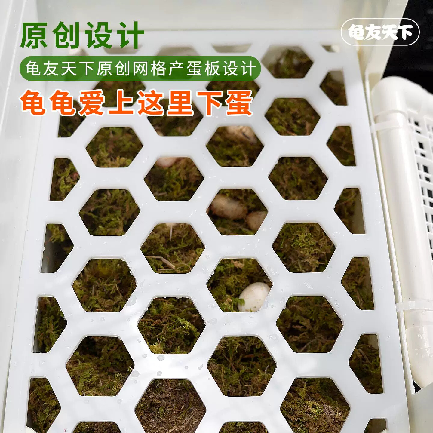 乌龟产蛋池乌龟箱蛋龟繁殖盒箱专用下蛋网格盆繁殖箱晒台沙池生蛋图片