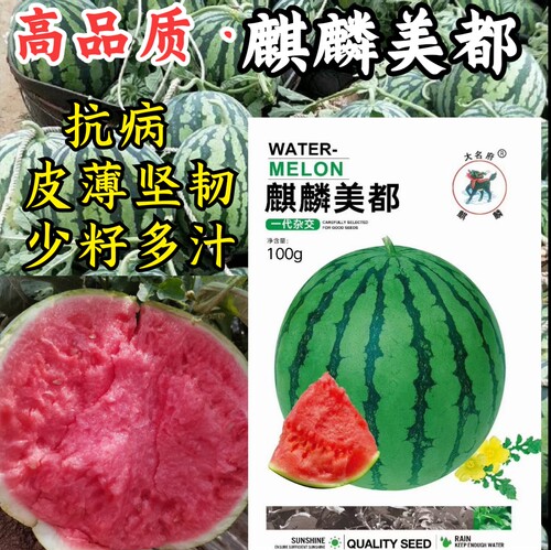 西瓜种子美都西瓜麒麟超甜