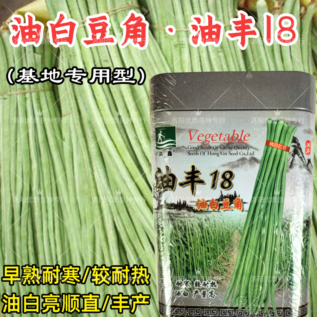 油丰18油白豆角种子早熟耐寒白皮嫩绿油白长豆角豇豆春秋架豆种子