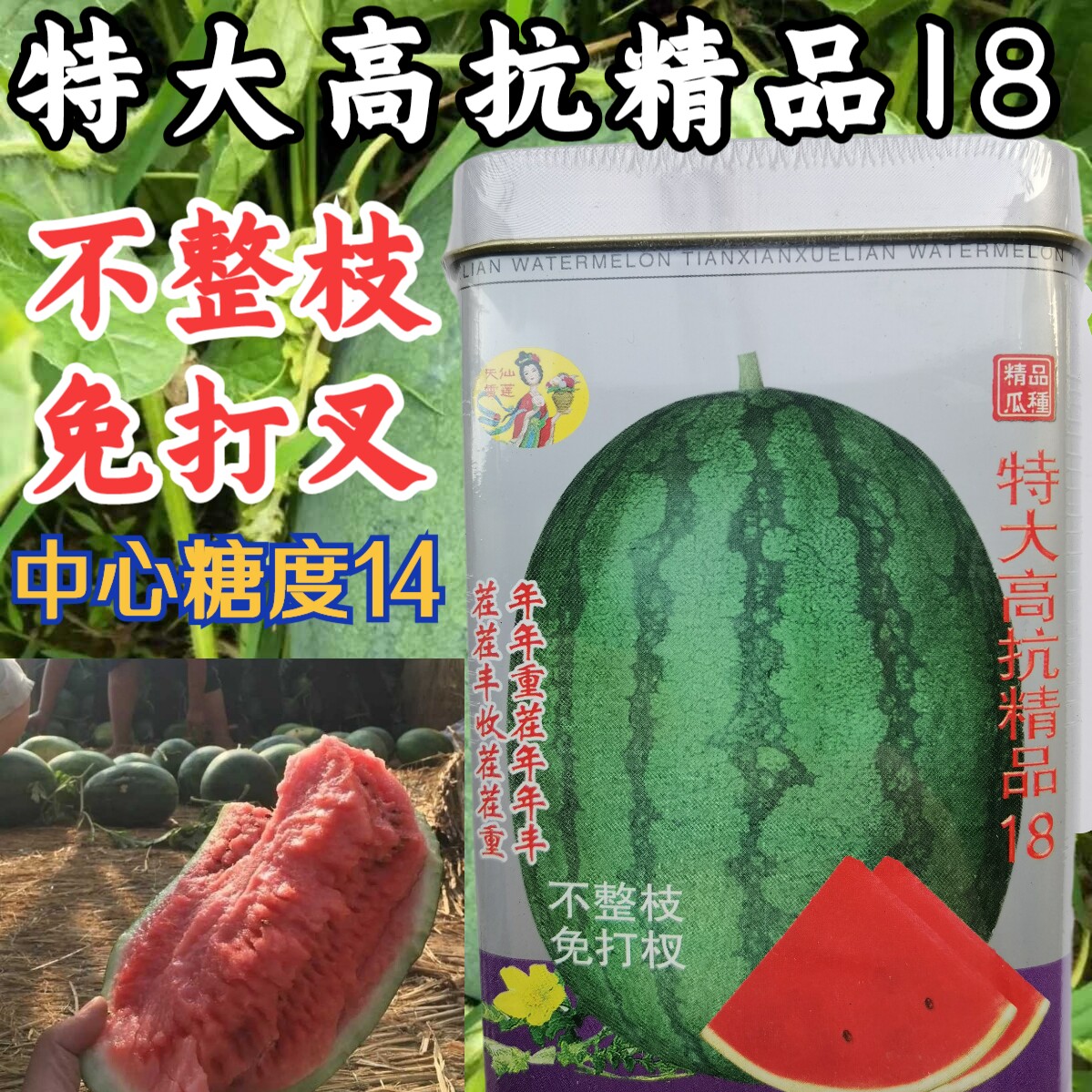 高抗精品18西瓜种子 不整枝免打叉特大抗重茬甜度14懒汉西瓜种子