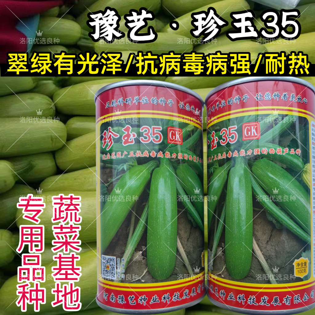 珍玉35西葫芦种子油绿翠绿耐热抗病毒露地大棚油葫芦春夏秋种子籽