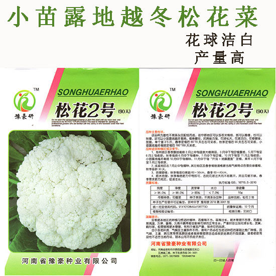 松花2号露地越冬松花菜种子青梗白花耐寒春秋越冬松花菜花种子籽