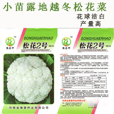 松花2号露地越冬松花菜种子青梗白花耐寒春秋越冬松花菜花种子籽