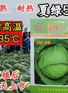 夏播耐热早熟抗高温扁圆型耐裂