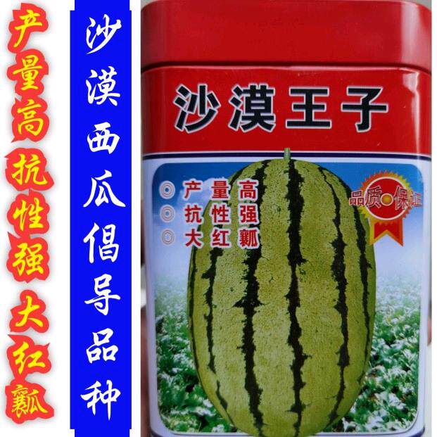 沙漠王子西瓜种子 嘉禾特大巨型沙漠西瓜种子籽大果红瓤高产抗病