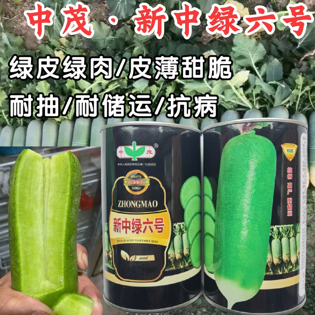 水果萝卜甜脆水果萝卜沙窝中茂