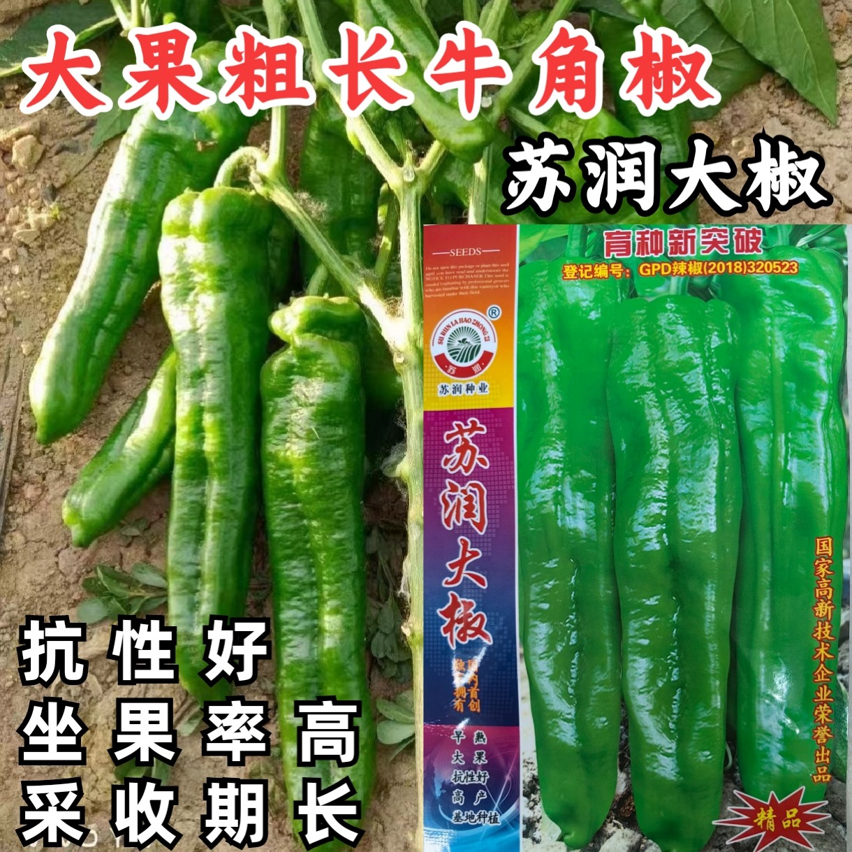 苏润大椒牛角椒种子早熟泡椒微辣大果挂果多肉厚春秋播辣椒种子籽