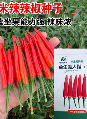 国椒88单生朝天椒种子高辣极辣干鲜两用红椒小米辣辣椒种子籽孑