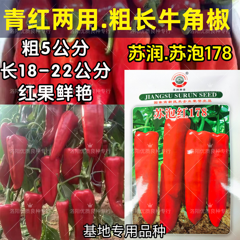 苏泡红178红泡椒种子粗长型大红果肉厚甜椒红泡椒牛角辣椒种子籽