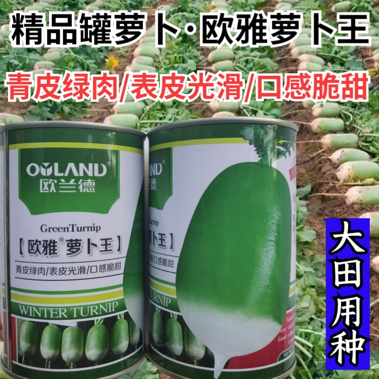 欧兰德萝卜罐萝卜791欧兰德