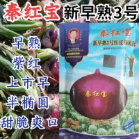 秦红宝洋葱种子新早熟3号洋葱种籽紫红皮扁平半高早上市蔬菜种子