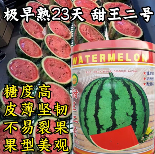 西瓜种子宋韵早熟麒麟
