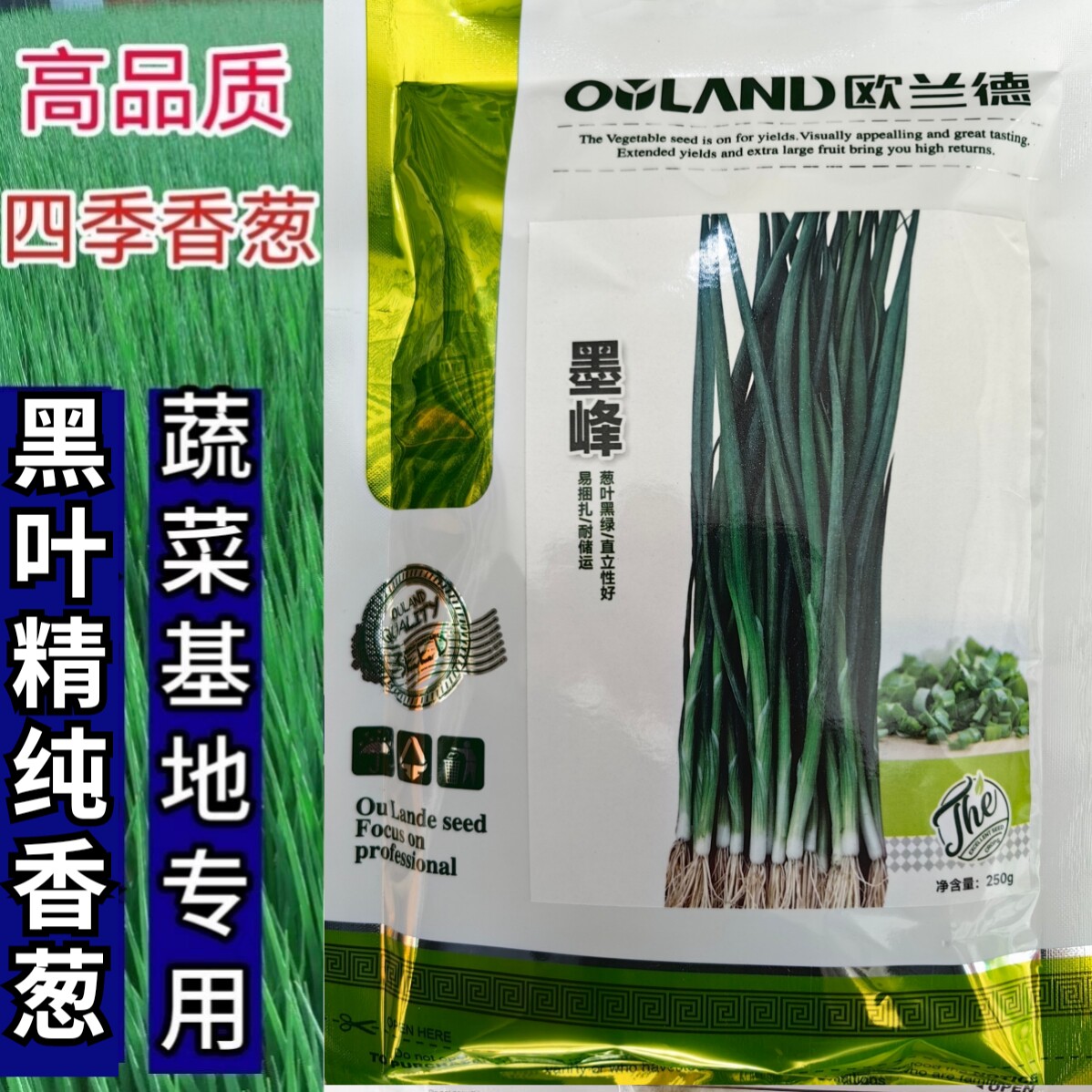 四季香葱种子黑叶小香葱种子