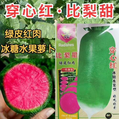 甜脆水果萝卜萝卜水果萝卜申萌