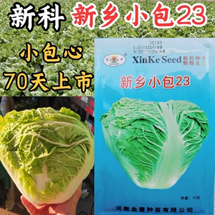新科新乡小包23白菜种子 小包心70天结球紧实秋播冬储大白菜种子