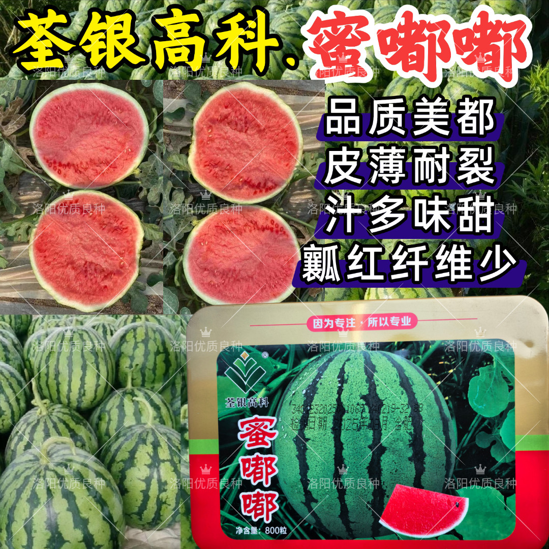 美都西瓜种子荃银蜜嘟嘟大果麒麟瓜皮薄耐裂耐低温红瓤圆西瓜种子