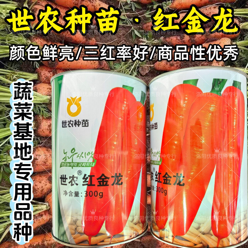 红金龙胡萝卜种子北京世农种苗三红萝卜鲜红芯高产秋胡萝卜种子籽