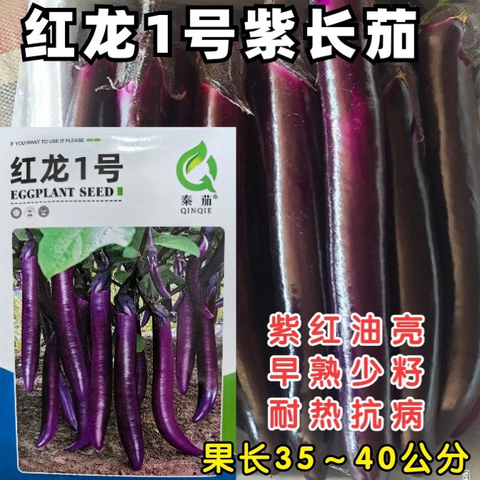 红龙1号紫长茄种子杂交早熟少籽紫红油亮长茄子种子籽孑耐热春夏,鲜花速递/花卉仿真/绿植园艺,家庭园艺种子,淘宝优惠券,粉丝福利购,淘宝优惠卷