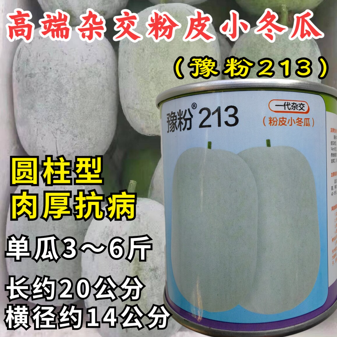 杂交粉皮小冬瓜种子豫粉213圆柱型迷你水果白粉皮小冬瓜种子籽孑